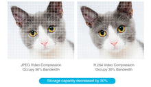 Load image into Gallery viewer, FREDI Kitty IP Camera