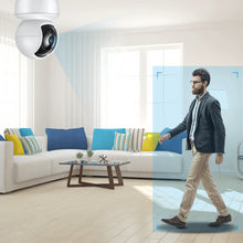 Load image into Gallery viewer, FREDI Y16 IP Camera