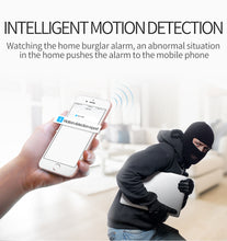 Load image into Gallery viewer, FREDI 360 Degree Panoramic IP Camera