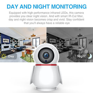 FREDI BK228 IP Camera